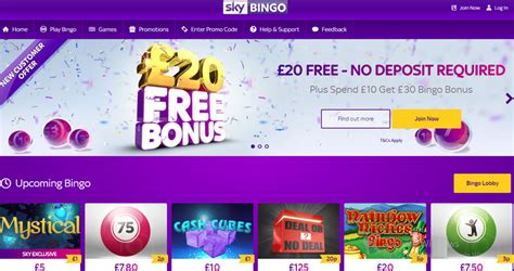 £20 free no deposit bingo.
